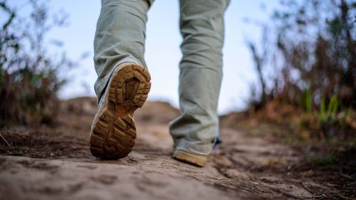 Caminhar para trás pode proteger suas articulações e melhorar a flexibilidade, dizem especialistas