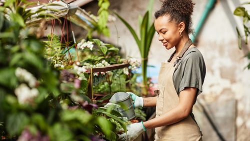 Como a jardinagem pode transformar sua relação com o tempo