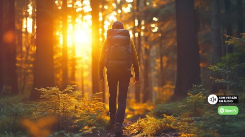 A beleza imperfeita do crescimento contínuo