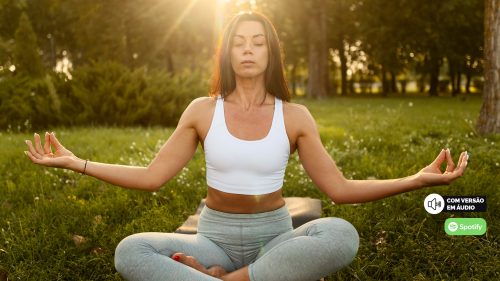 O poder da meditação: um guia prático para iniciantes