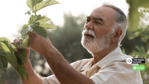 A ciência da longevidade: o que os centenários podem nos ensinar sobre uma vida longa e saudável