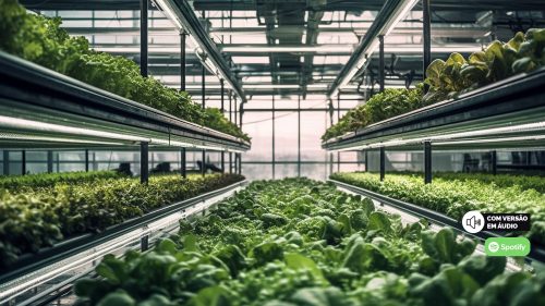 Alimentos do futuro que já chegaram à sua mesa